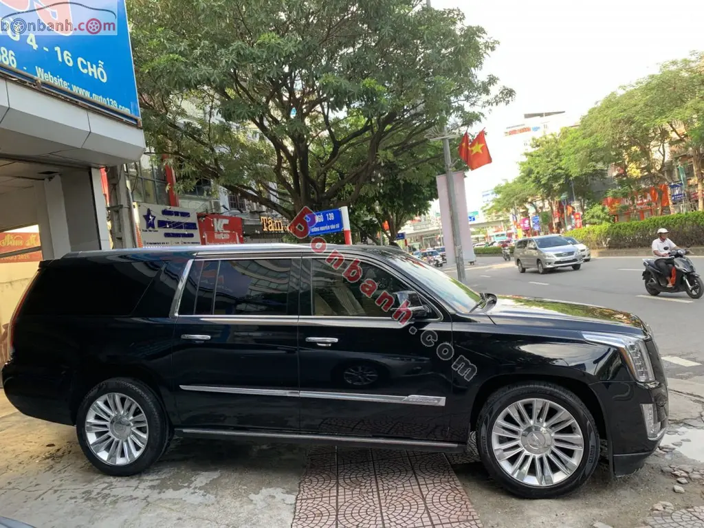 Hình ảnh số 2