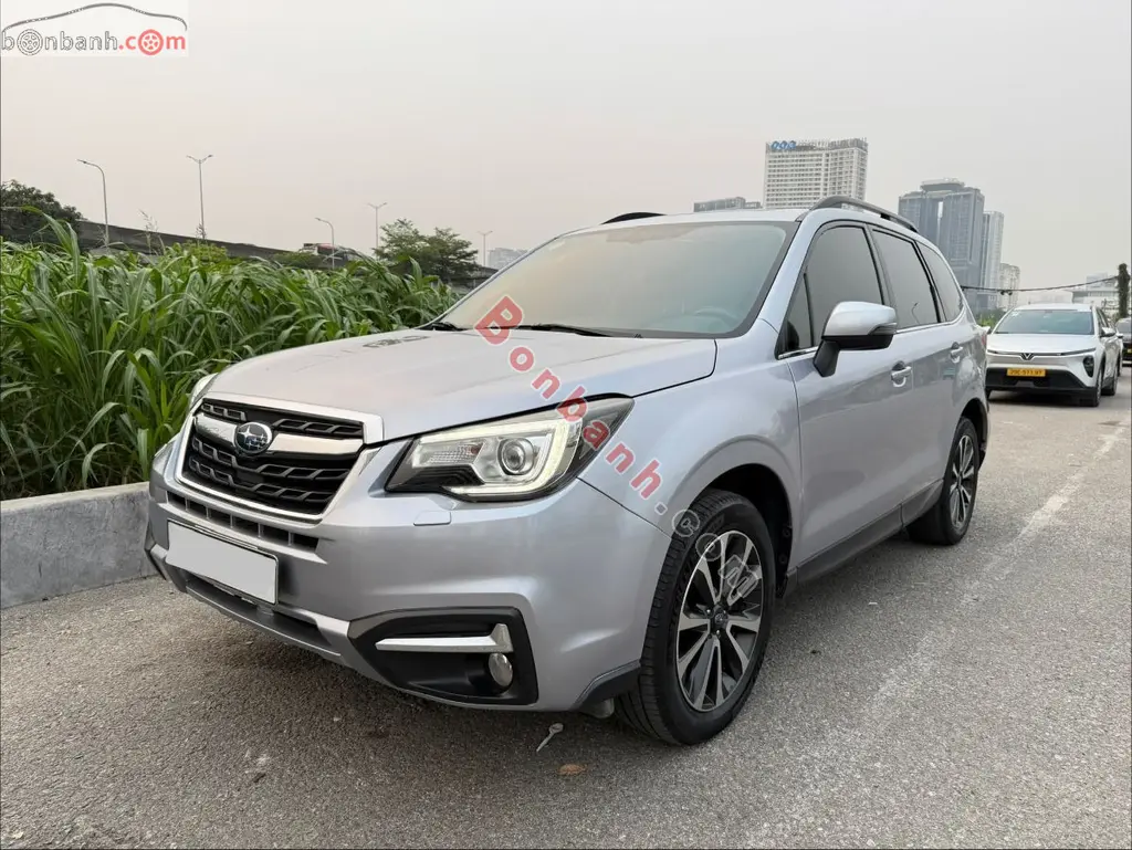 Hình ảnh số 2