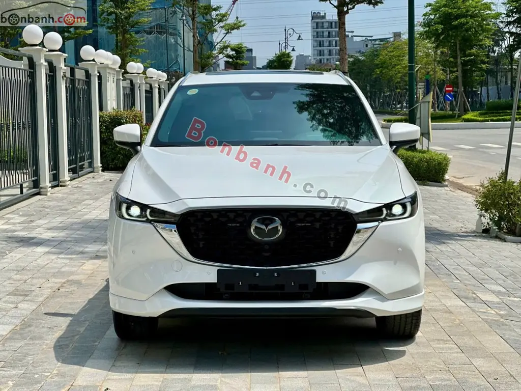 Hình ảnh số 2