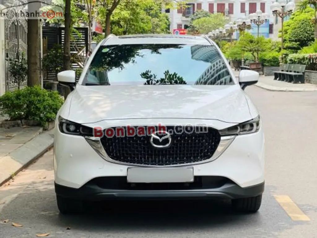 Hình ảnh số 2