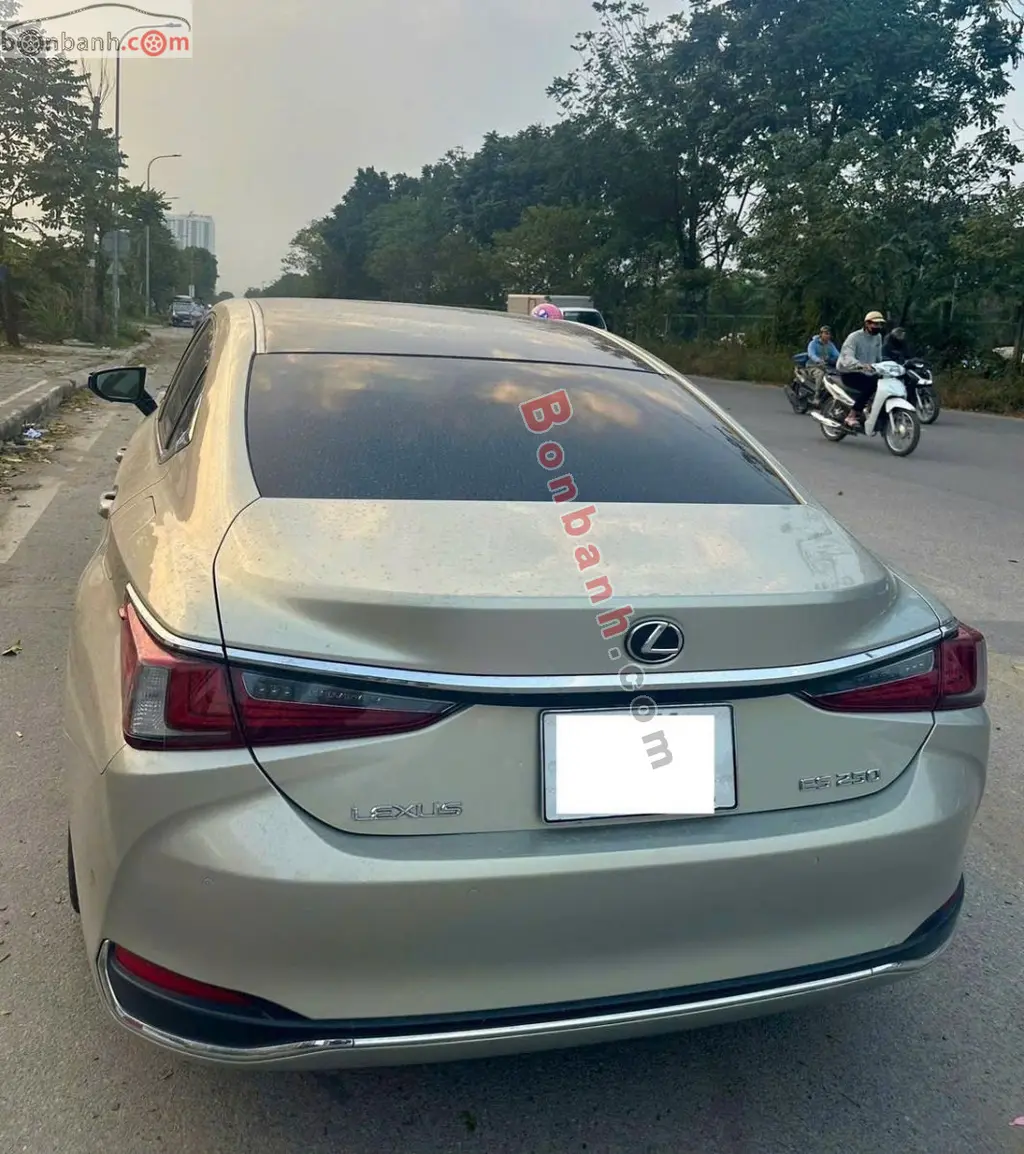 Hình ảnh số 5