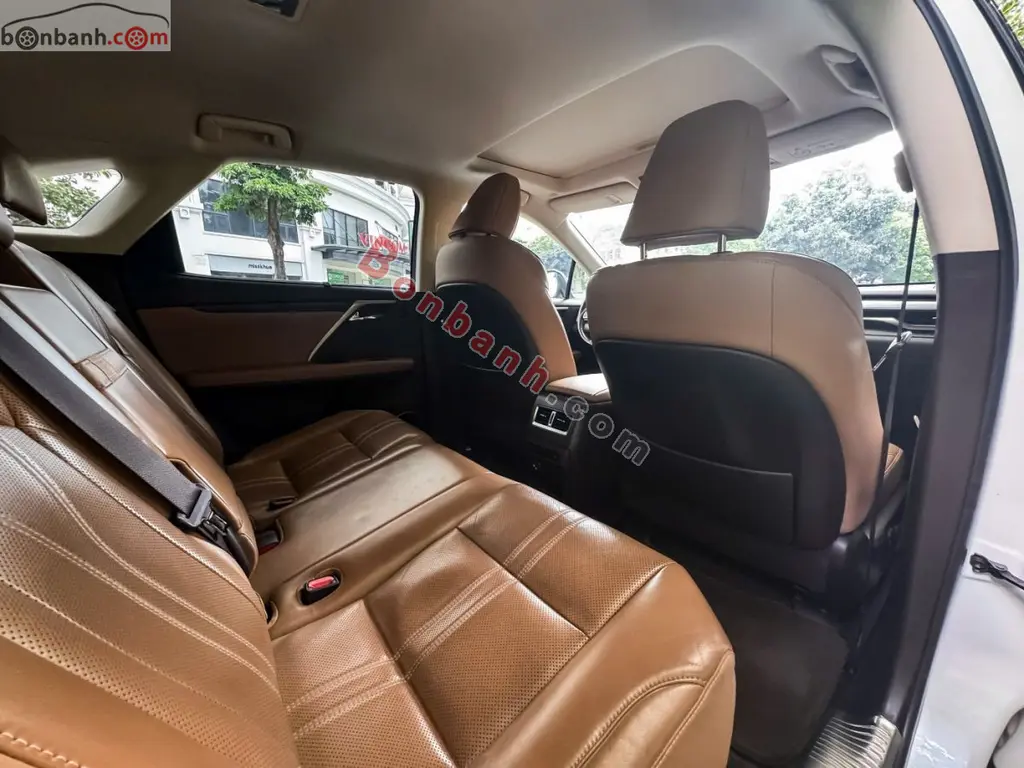 Hình ảnh số 8