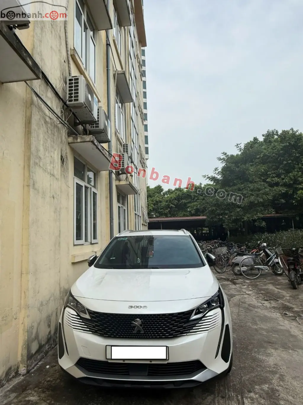 Hình ảnh số 7