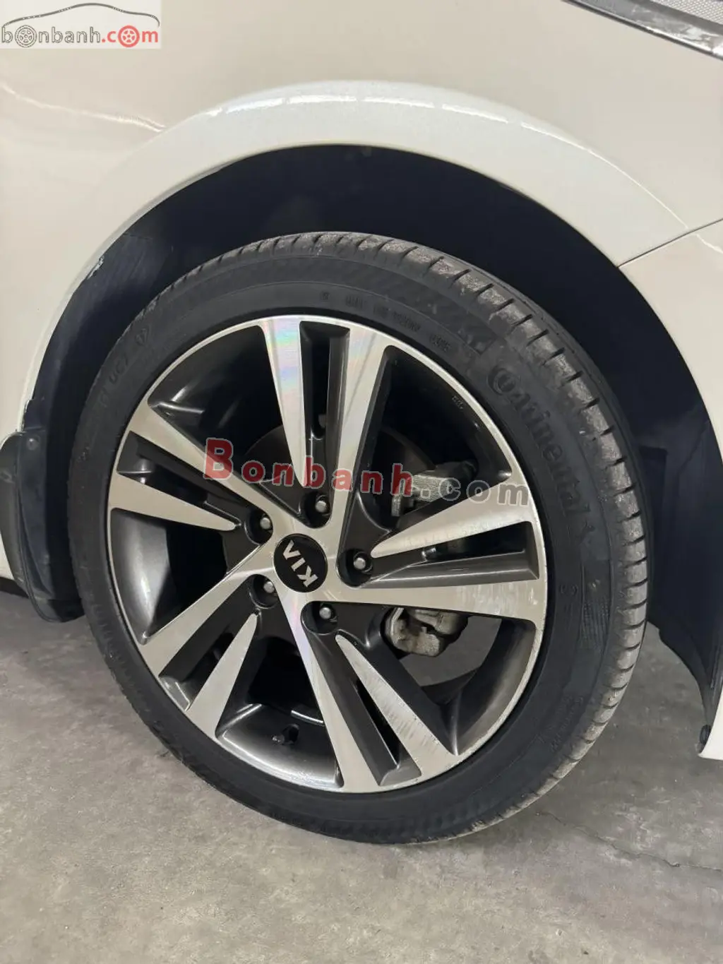 Hình ảnh số 10