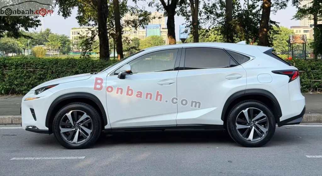 Hình ảnh số 2