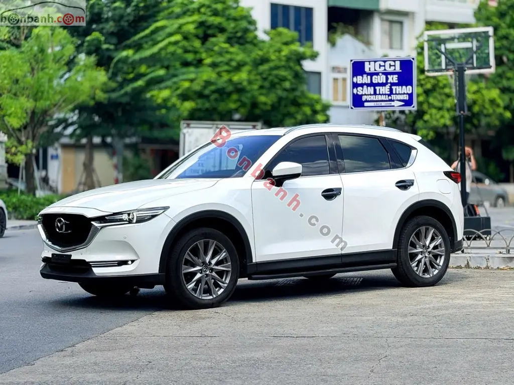Hình ảnh số 2