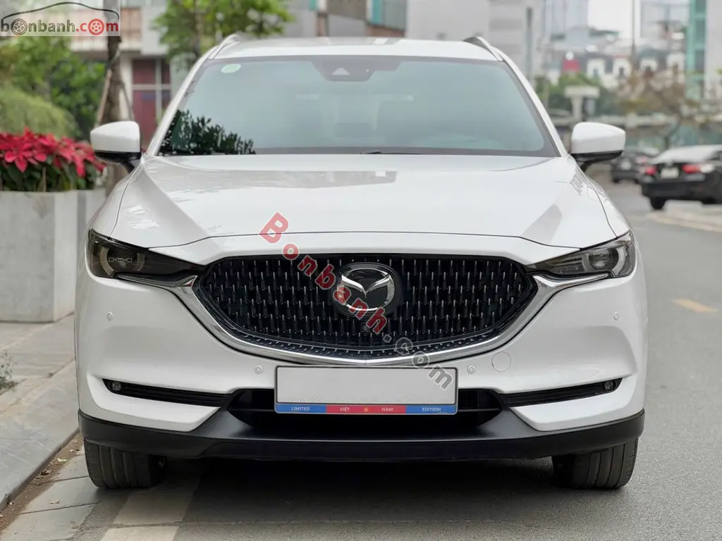 Hình ảnh số 2