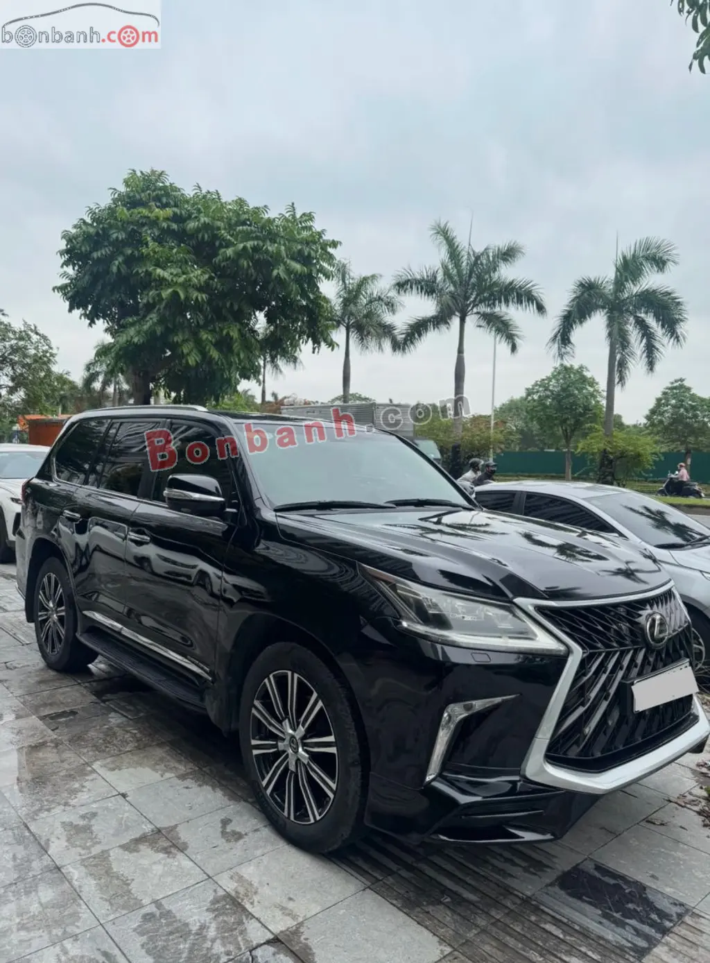 Hình ảnh số 3