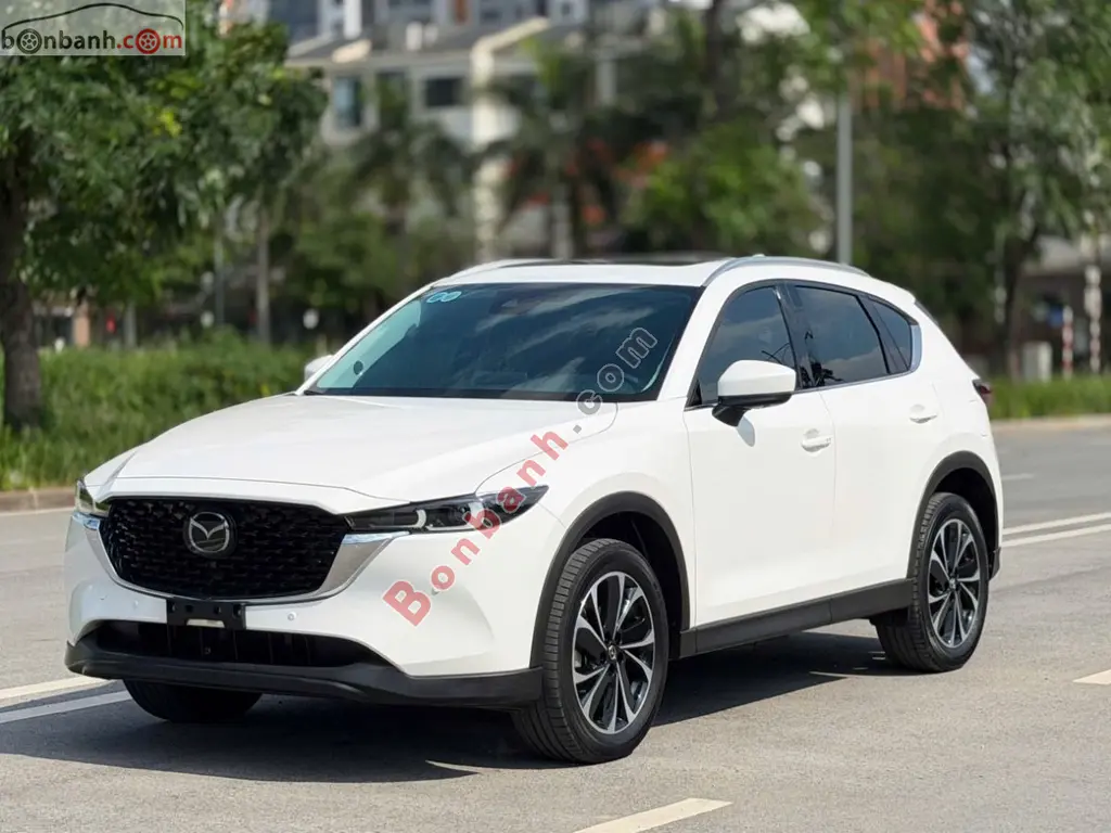 Hình ảnh số 2