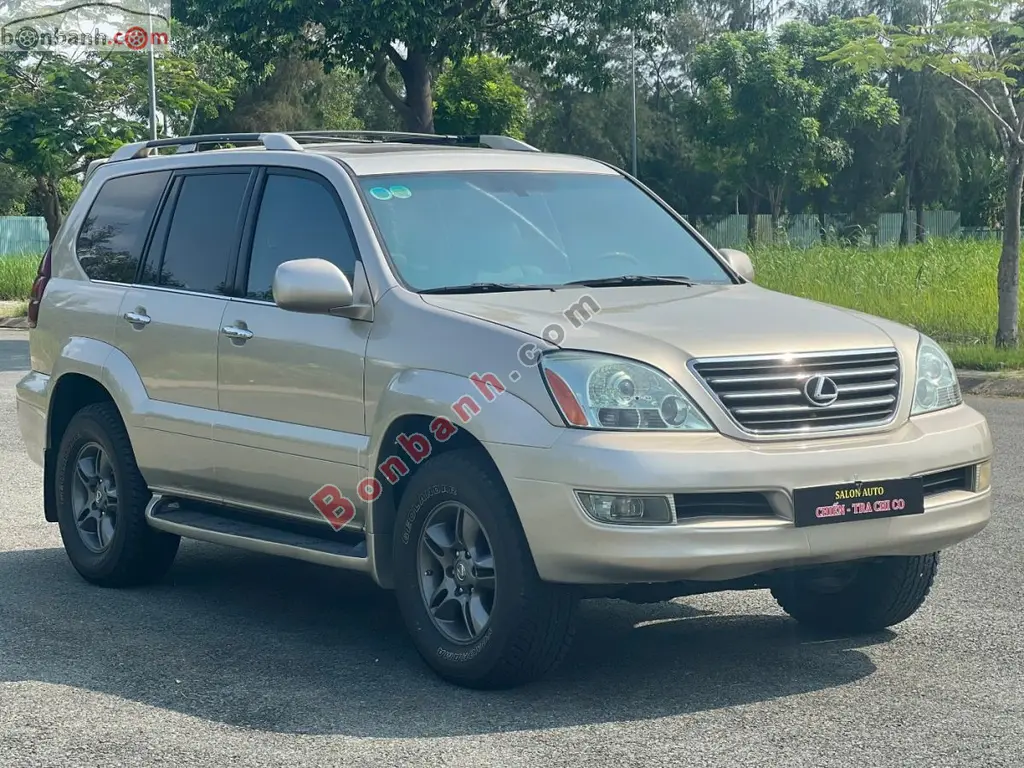 Hình ảnh số 3