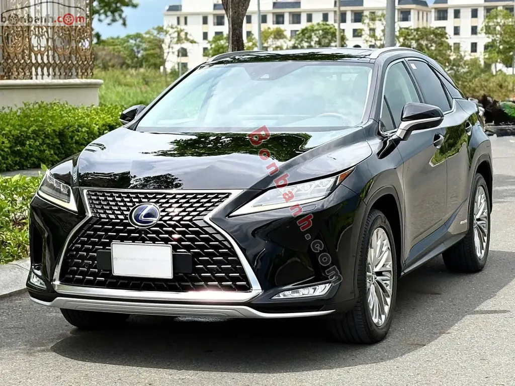Hình ảnh số 3