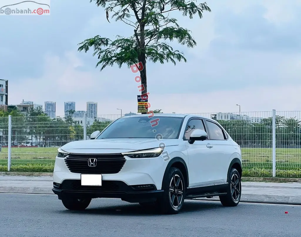 Hình ảnh số 2