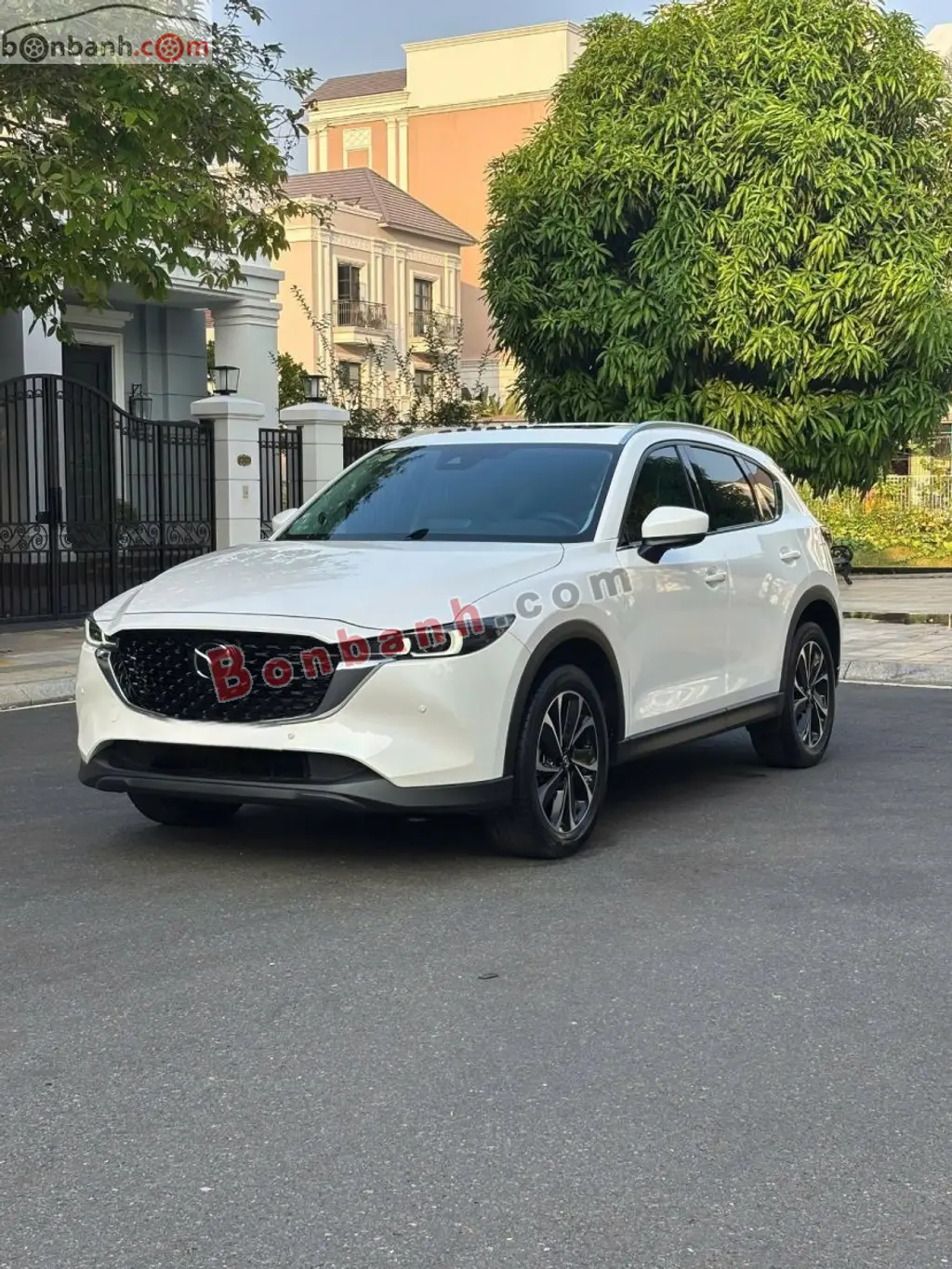 Hình ảnh số 3