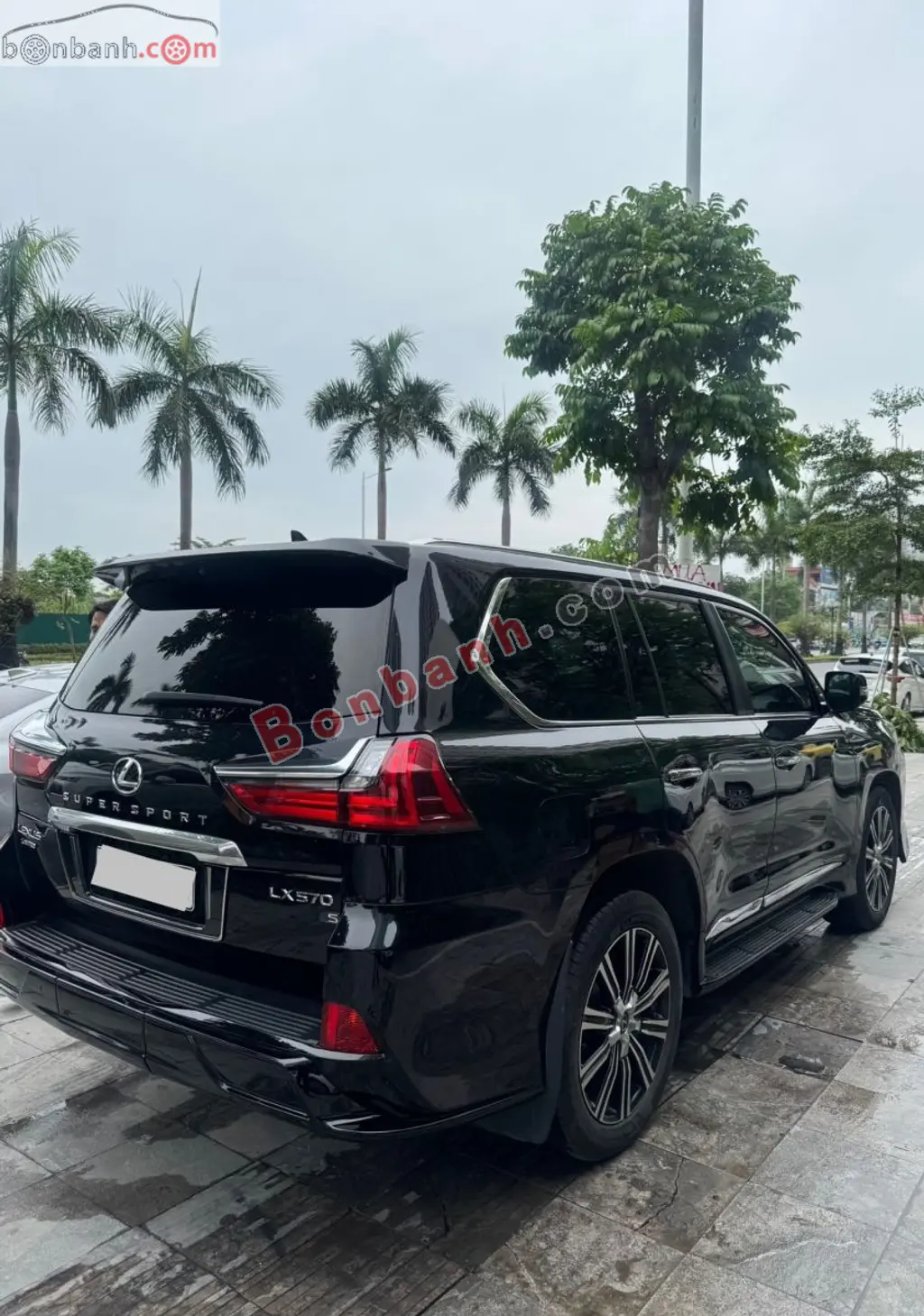 Hình ảnh số 4