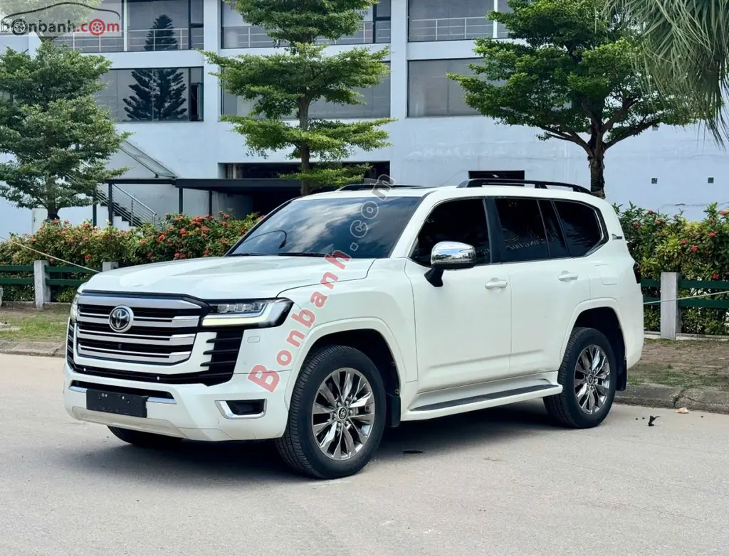 Hình ảnh số 2