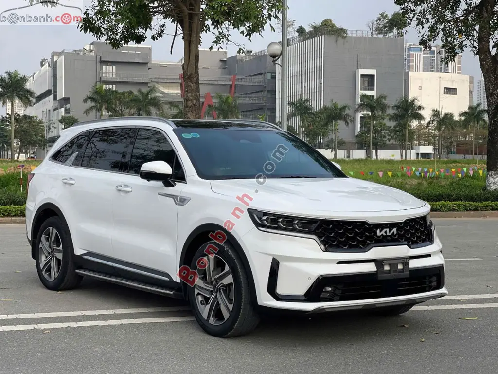 Hình ảnh số 2
