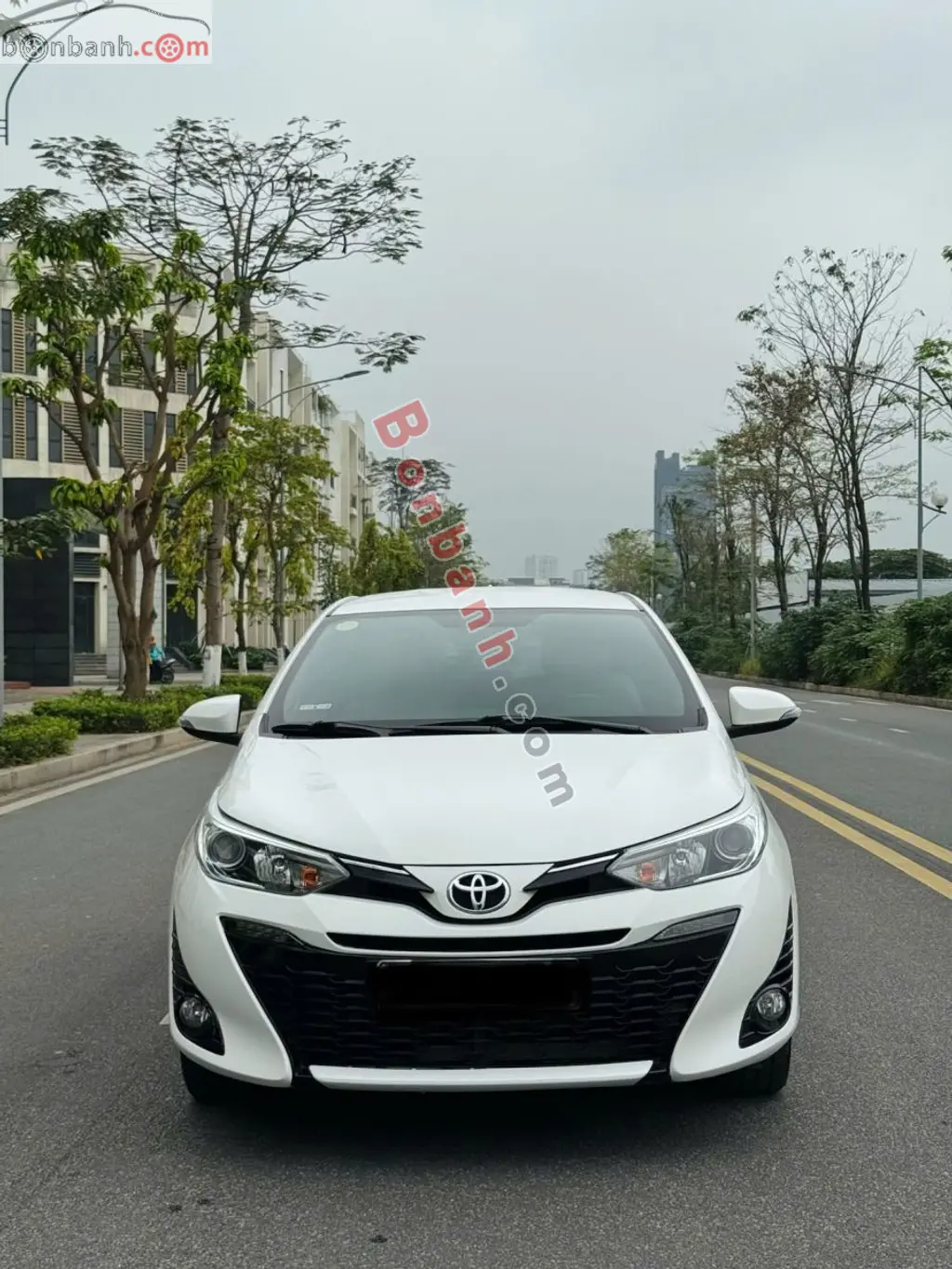 Hình ảnh số 2