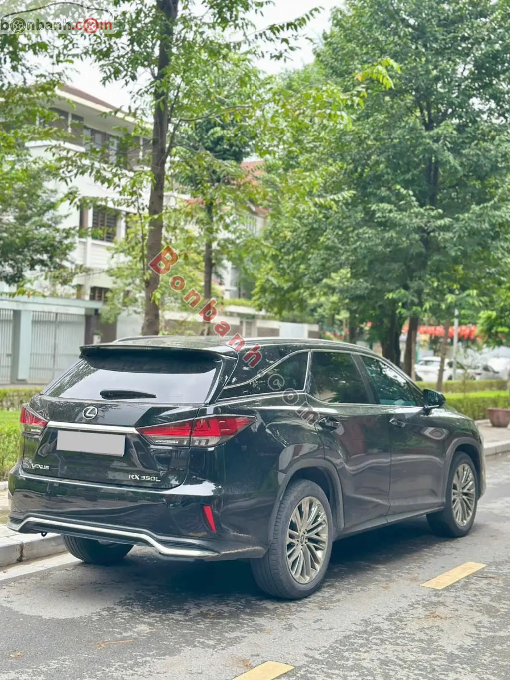 Hình ảnh số 4