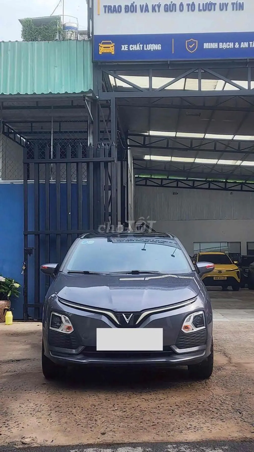 Hình ảnh số 2