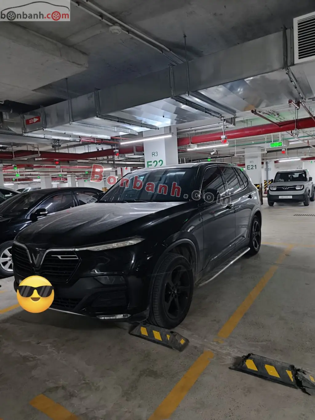 Hình ảnh số 3