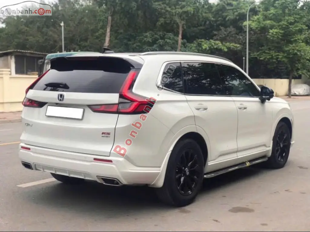 Hình ảnh số 2