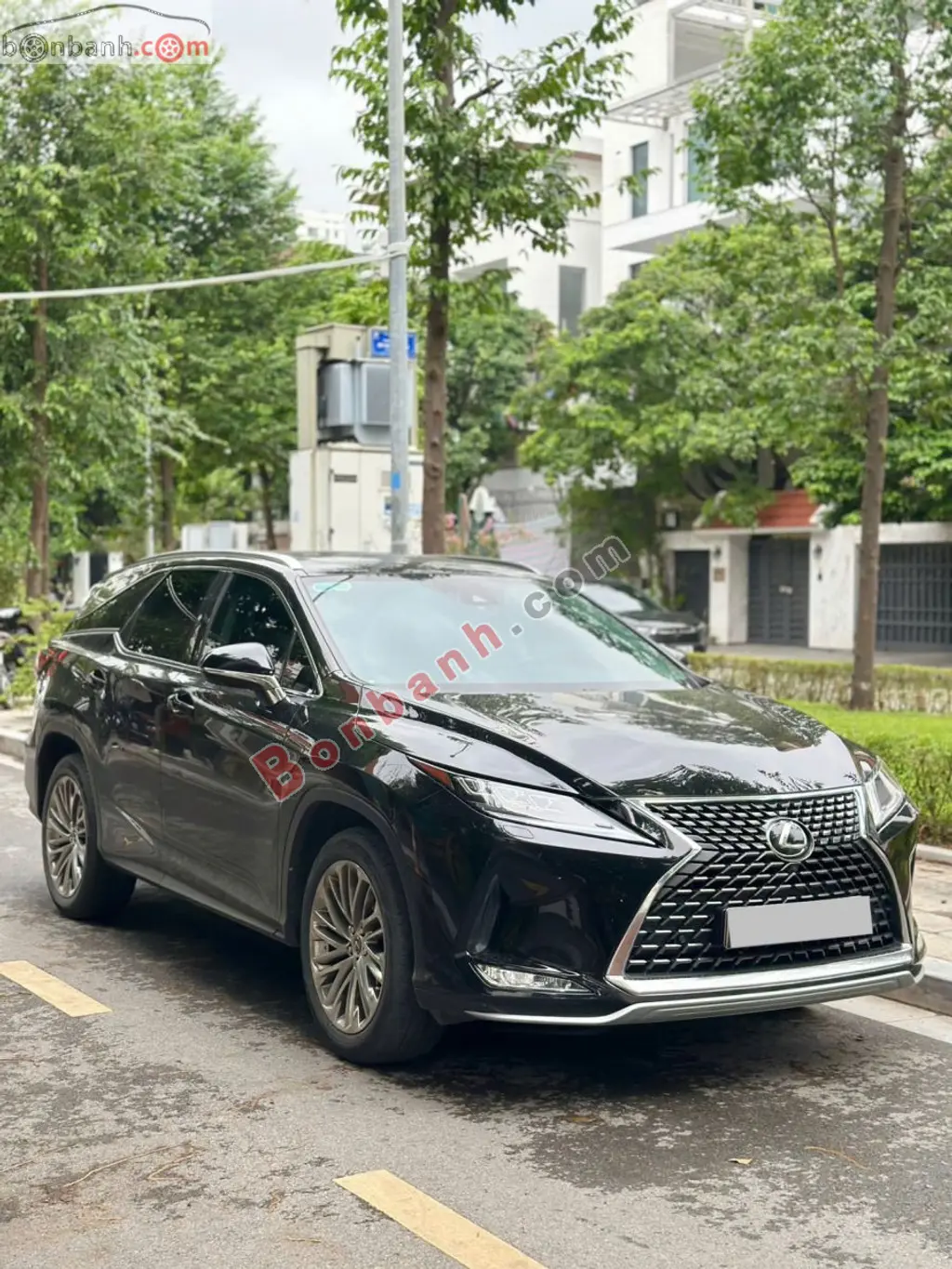 Hình ảnh số 3