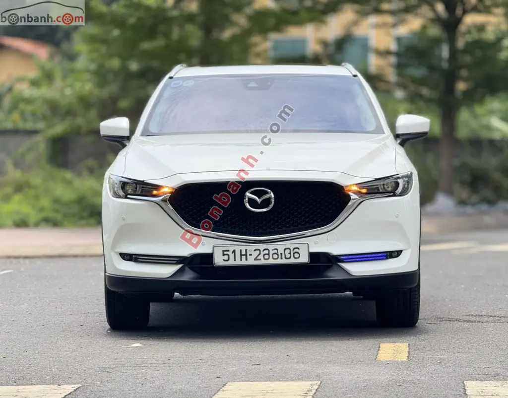 Hình ảnh số 2