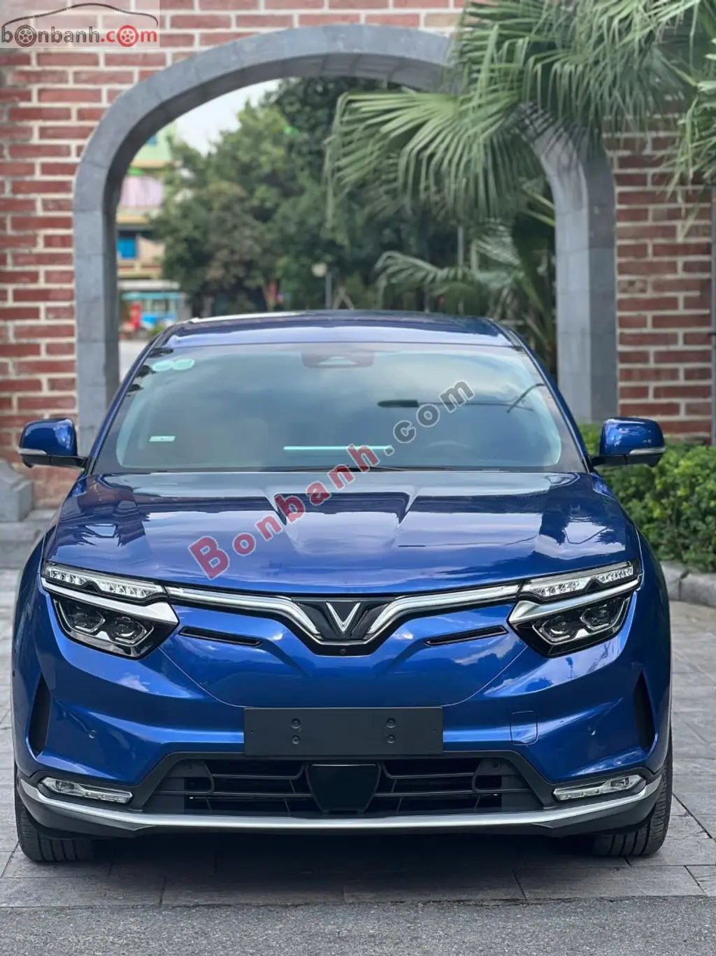 Hình ảnh số 2