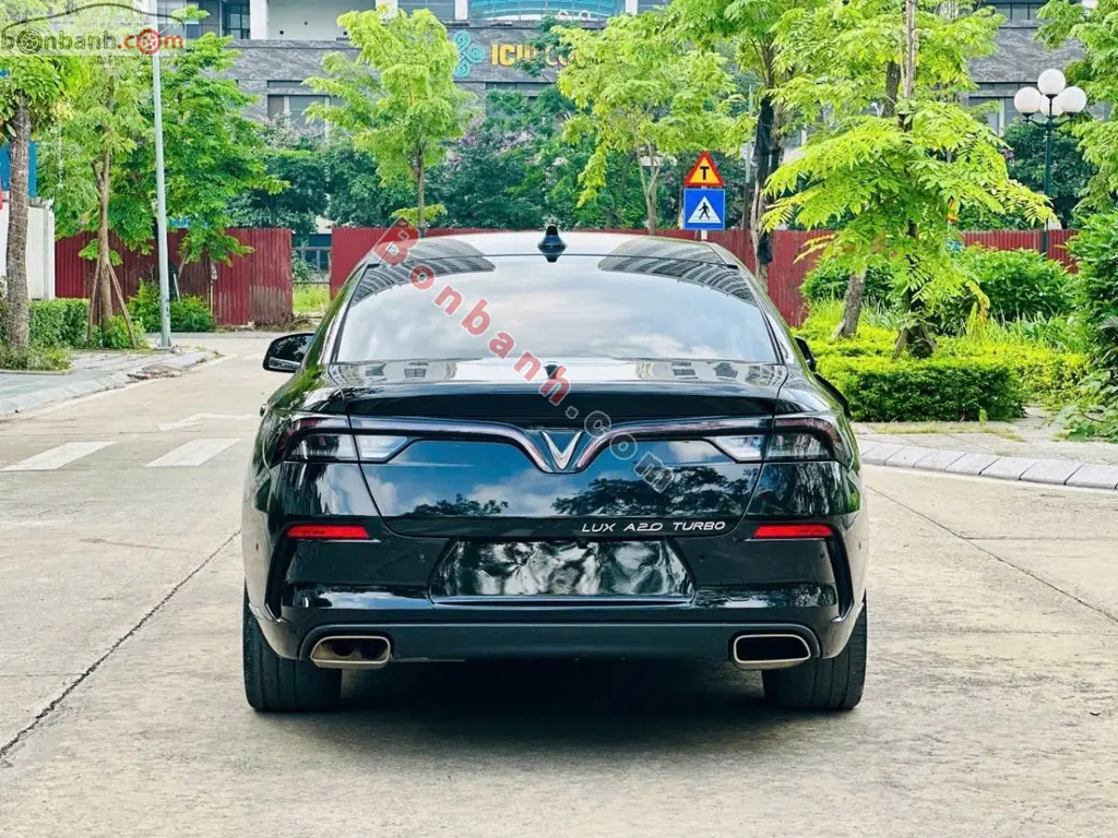 Hình ảnh số 3