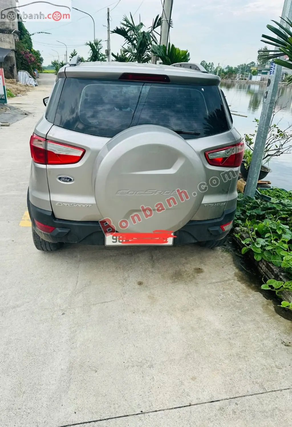 Hình ảnh số 2