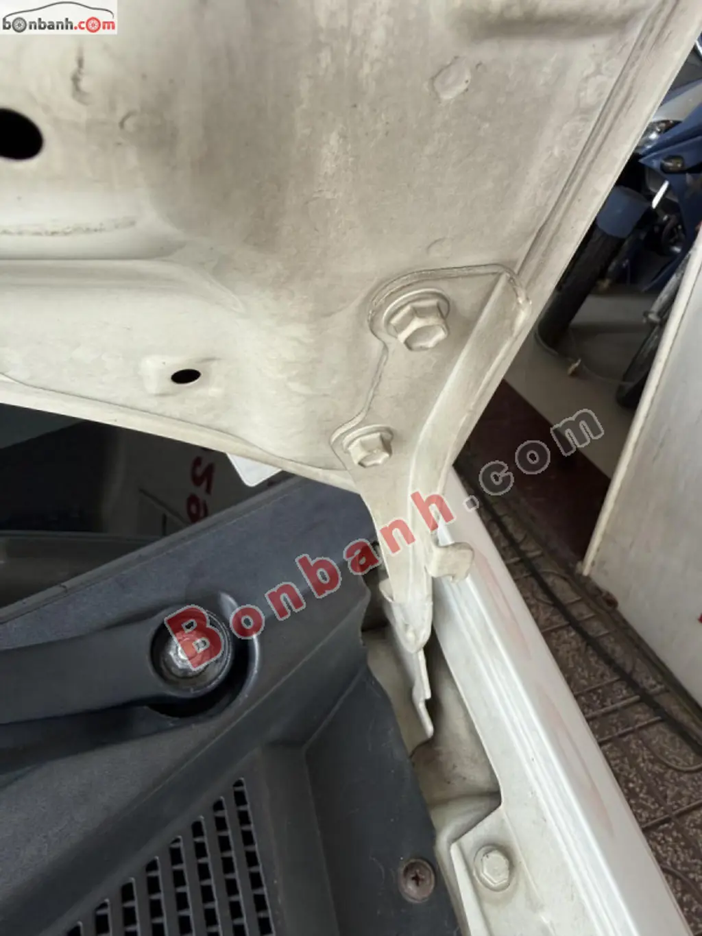 Hình ảnh số 10
