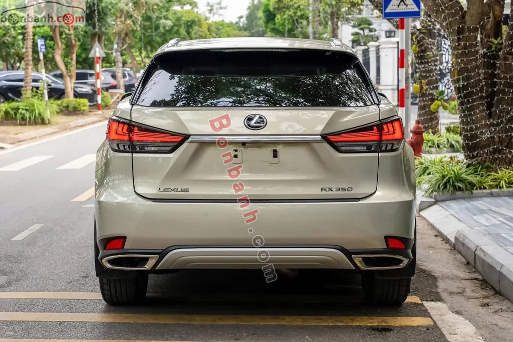 Hình ảnh số 2