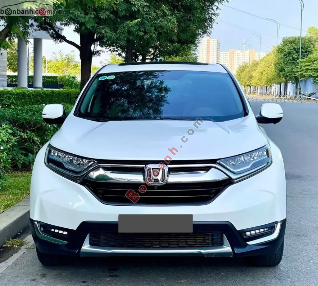 Hình ảnh số 2