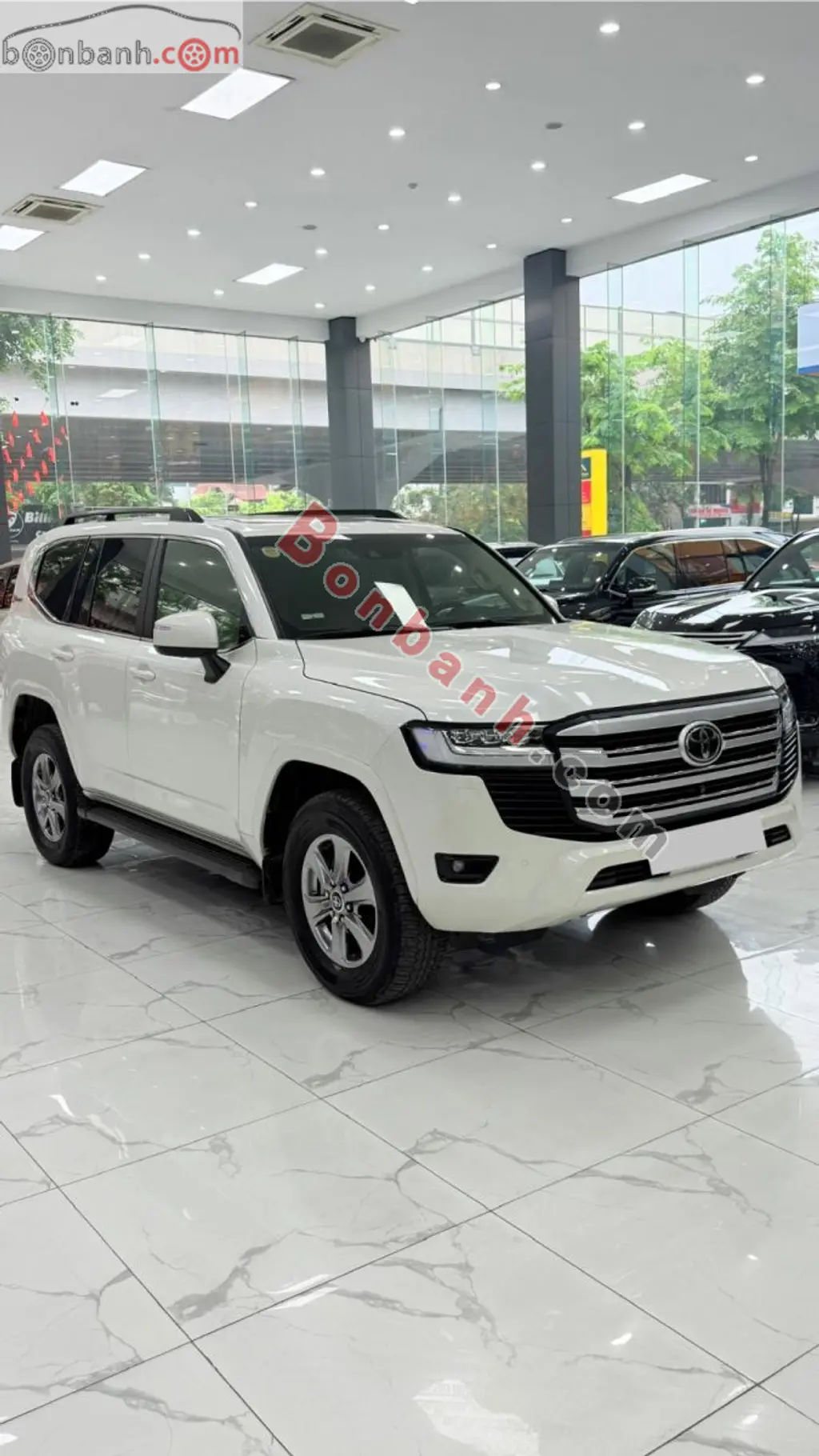 Hình ảnh số 2