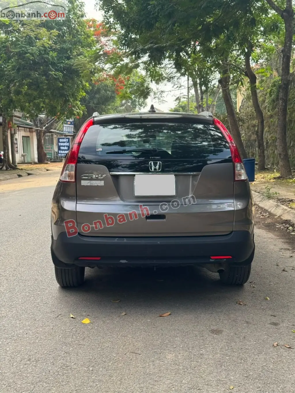 Hình ảnh số 2
