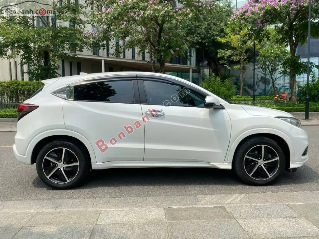 Hình ảnh số 2