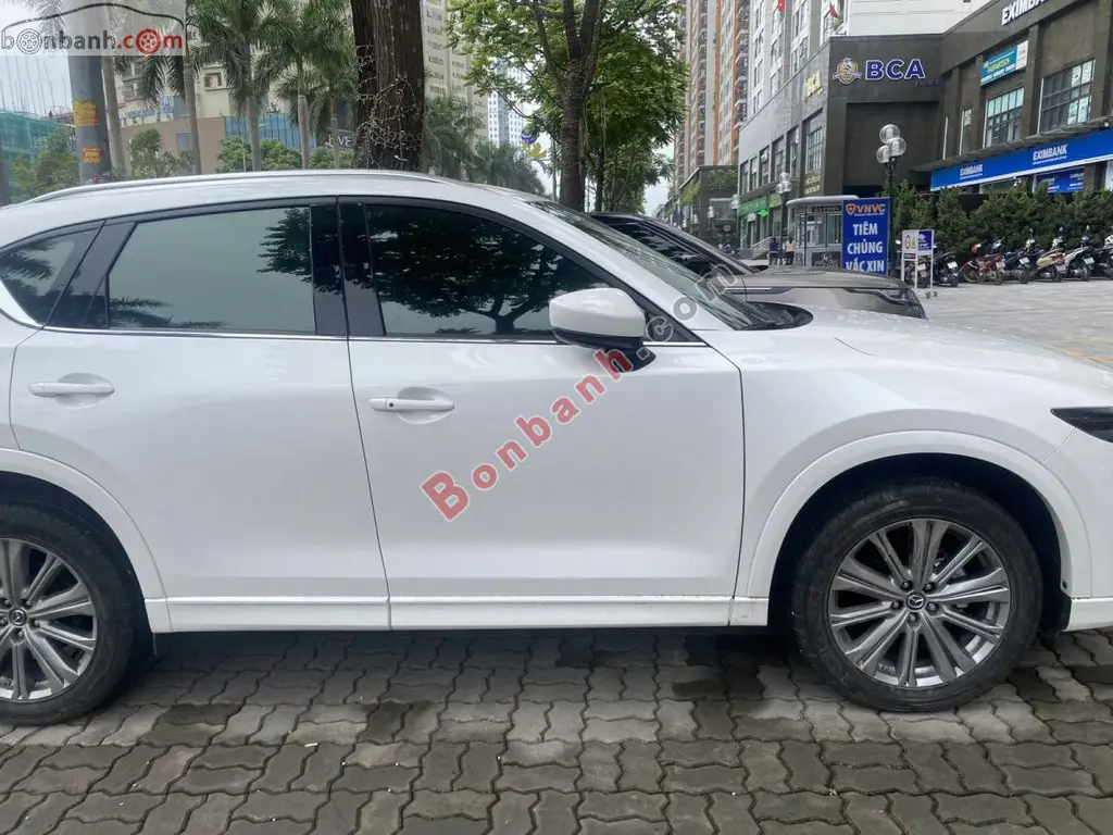 Hình ảnh số 3