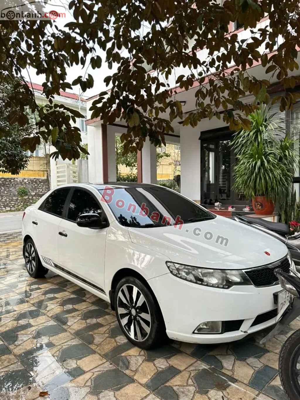 Hình ảnh số 5