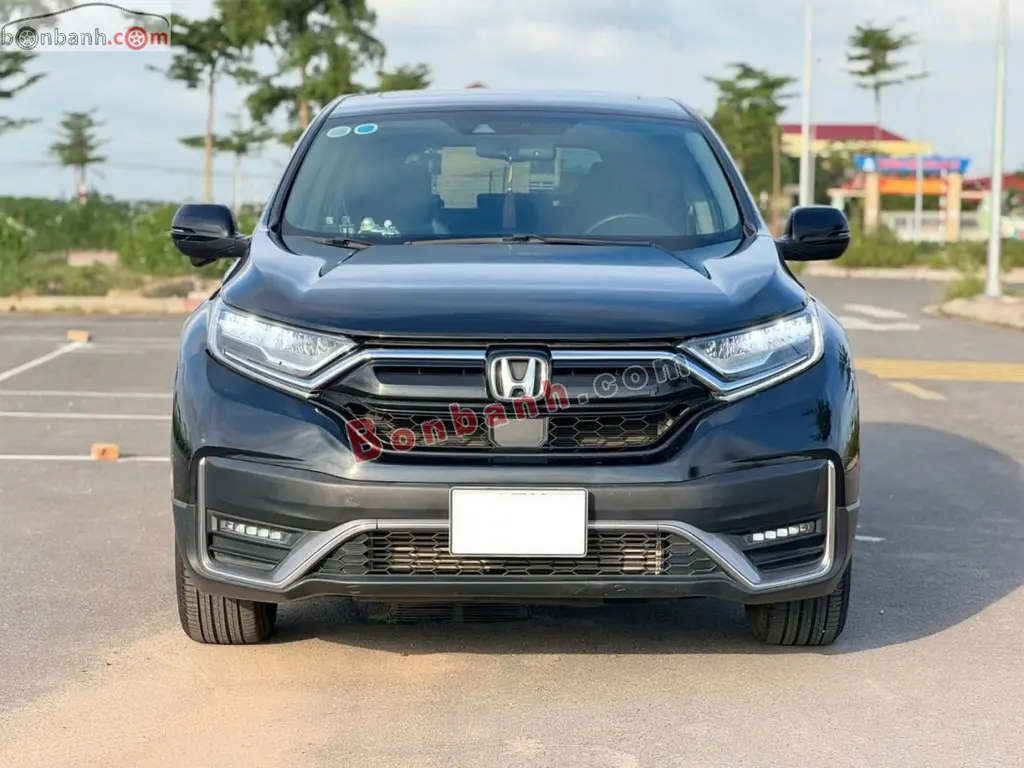 Hình ảnh số 2
