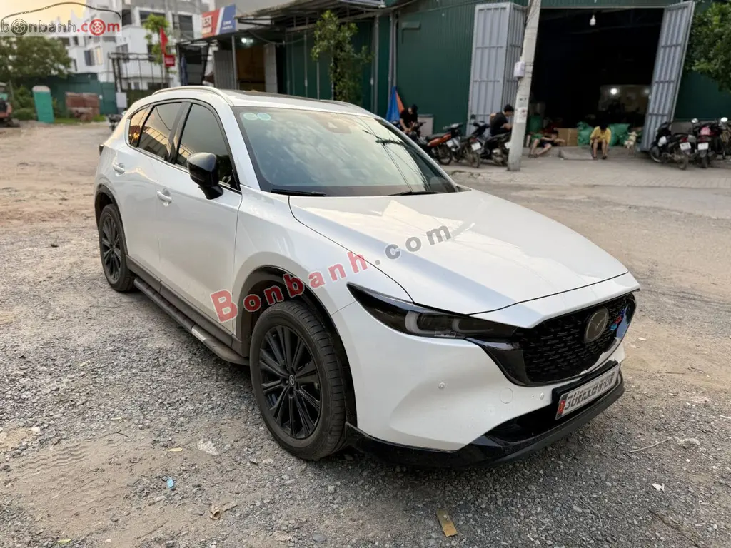 Hình ảnh số 2