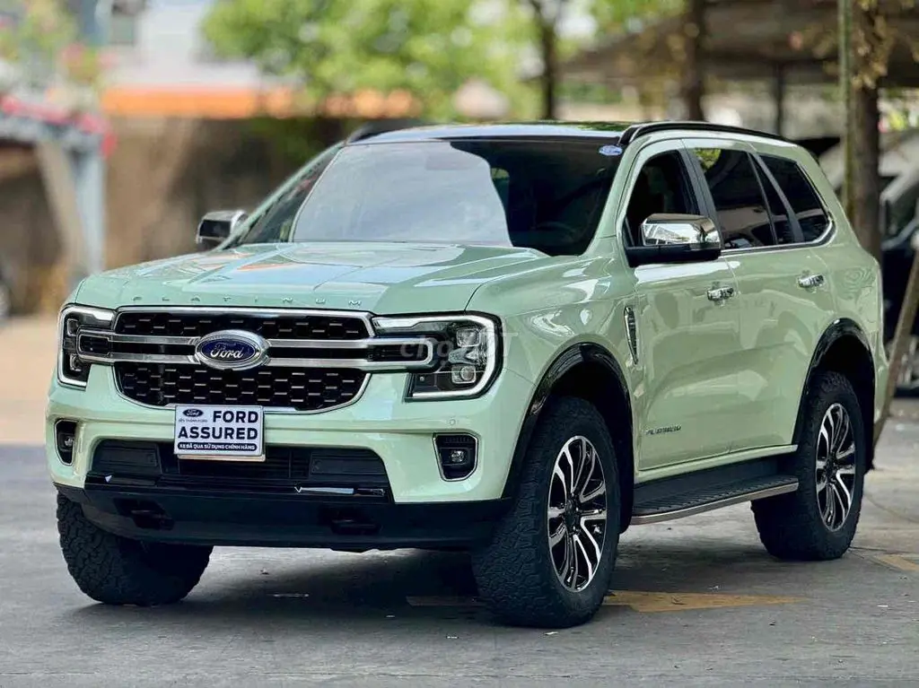 Hình ảnh số 2
