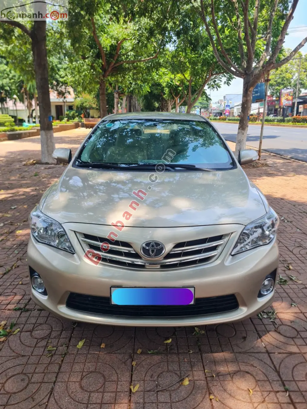 Hình ảnh số 3