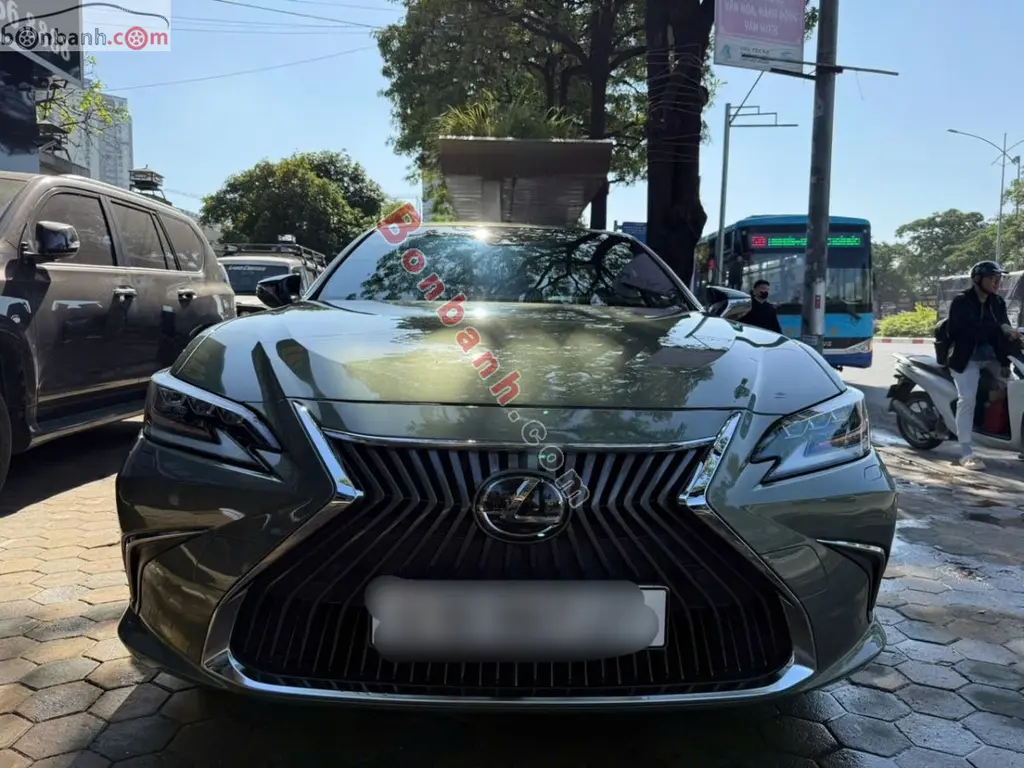 Hình ảnh số 2