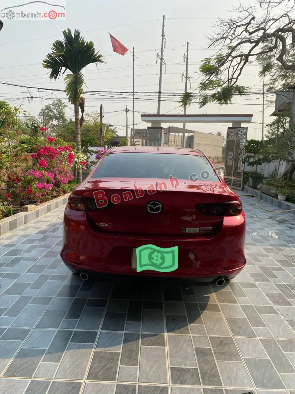 Hình ảnh số 5