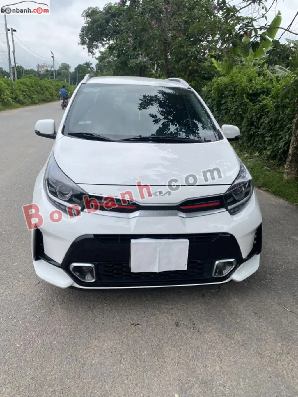 Hình ảnh số 2
