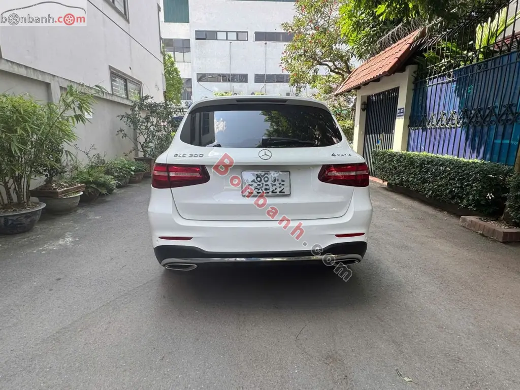 Hình ảnh số 4