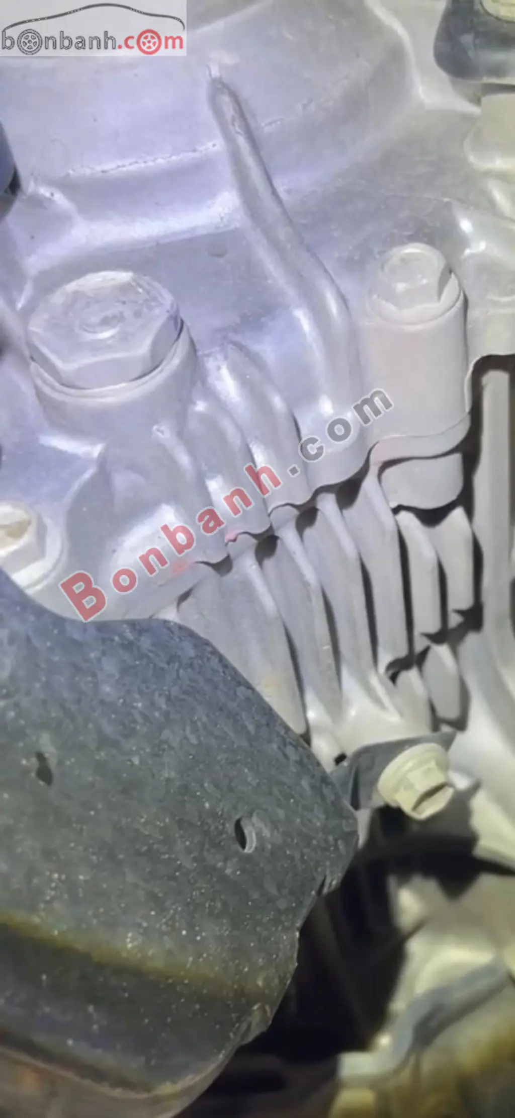 Hình ảnh số 10
