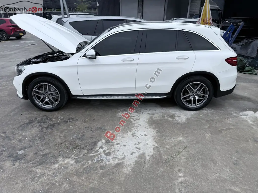 Hình ảnh số 3