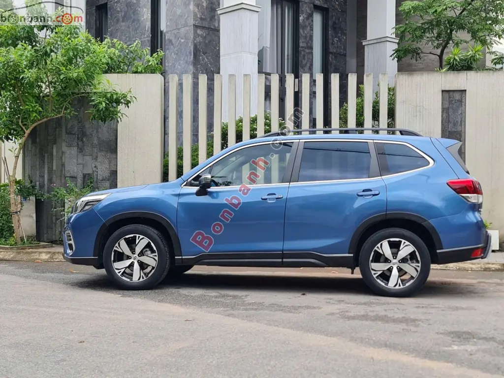 Hình ảnh số 7