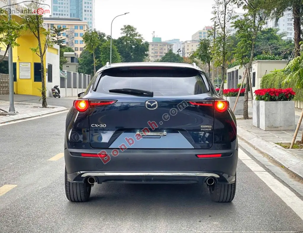 Hình ảnh số 2